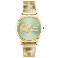 Montre Lacoste Crocodelle Vert