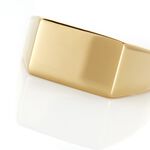 Chevali&egrave;re Acier Dor&eacute; Luciano - Chevali&egrave;res Homme | Histoire d&rsquo;Or