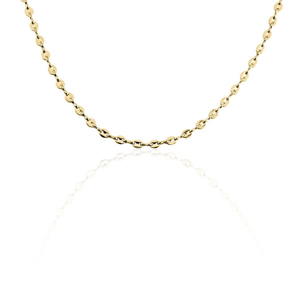Collier Plaqué Or Jaune William - Chaines Homme | Histoire d’Or