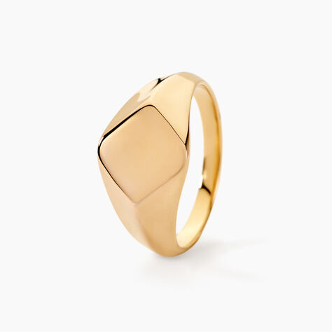 Chevali&egrave;re Sebastiano Plaqu&eacute; Or Jaune - Chevali&egrave;res Homme | Histoire d&rsquo;Or