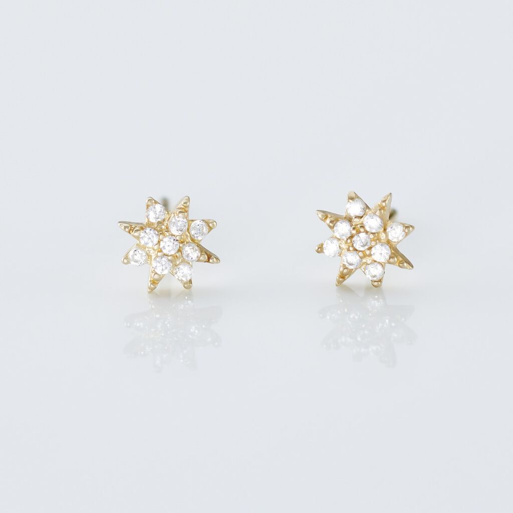 Boucles D'oreilles Puces Aubepine Or Jaune Oxyde - Clous d'oreilles Femme | Histoire d’Or