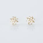 Boucles D'oreilles Puces Aubepine Or Jaune Oxyde - Clous d'oreilles Femme | Histoire d&rsquo;Or