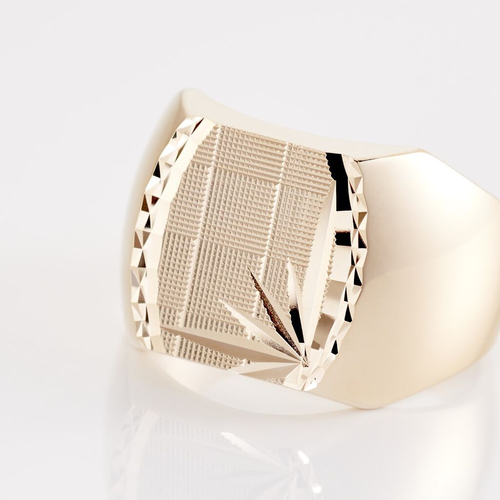 Chevali&egrave;re Leoncette Plaqu&eacute; Or Jaune - Chevali&egrave;res Homme | Histoire d&rsquo;Or