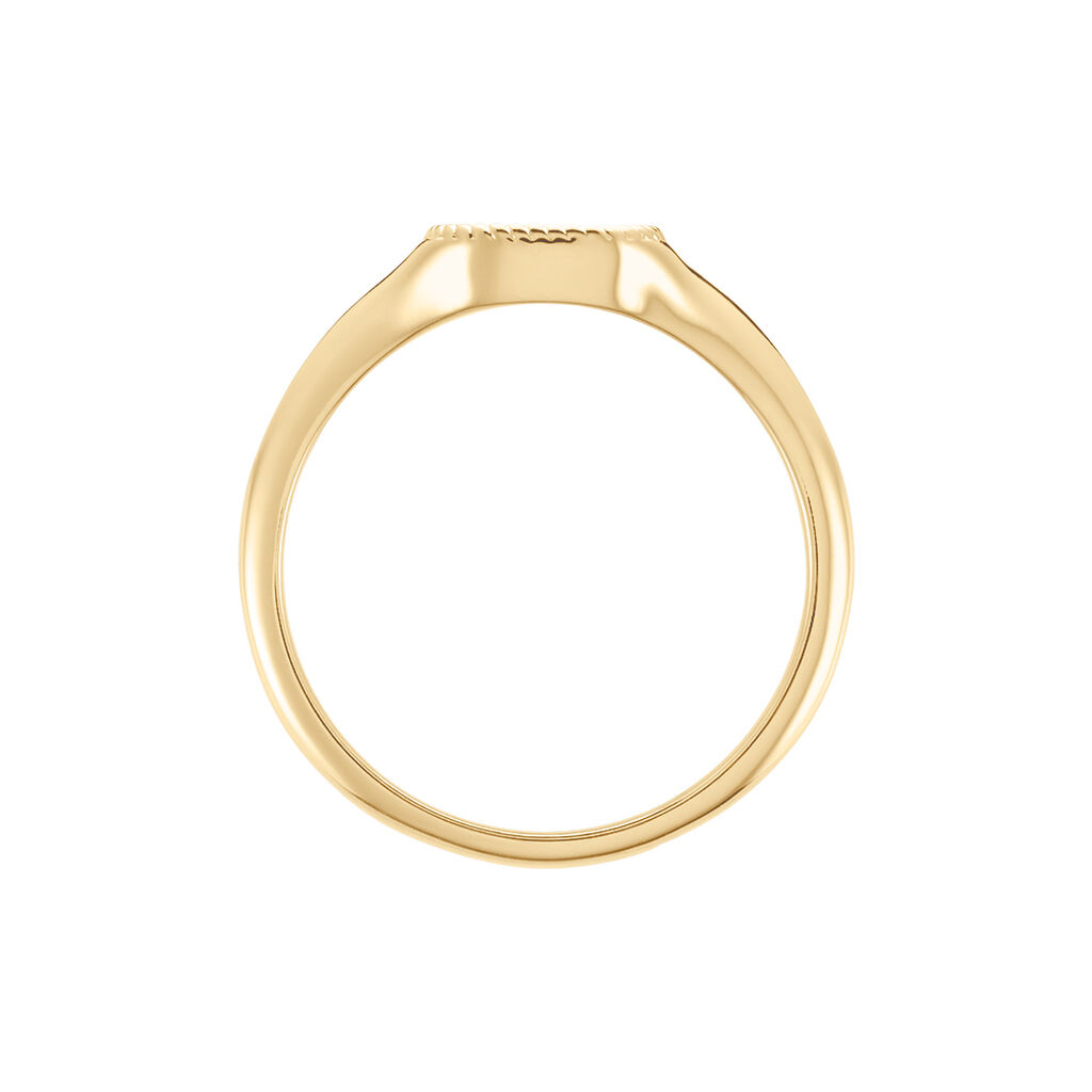 Chevali&egrave;re Aviv Plaqu&eacute; Or Jaune - Chevali&egrave;res Femme | Histoire d&rsquo;Or