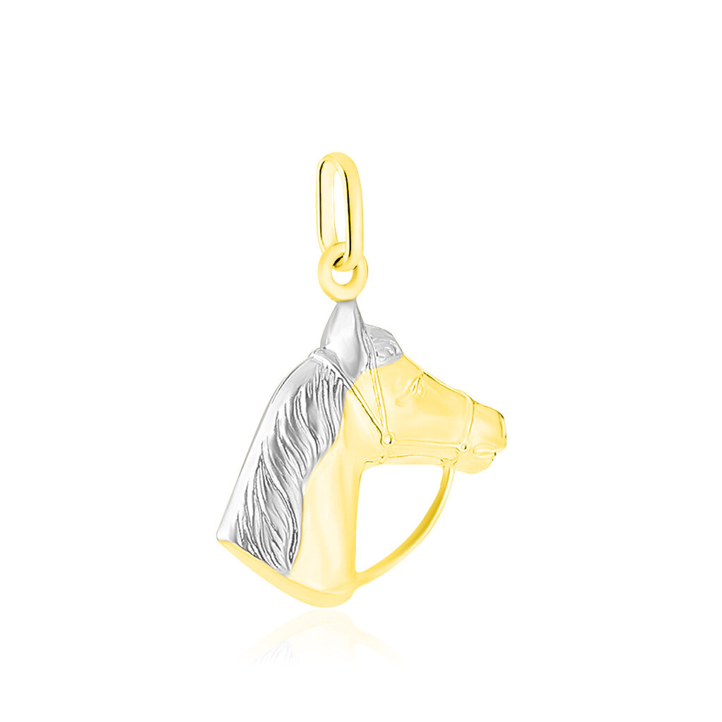 Pendentif Egide Cheval Or Bicolore - Pendentifs Famille | Histoire d&rsquo;Or