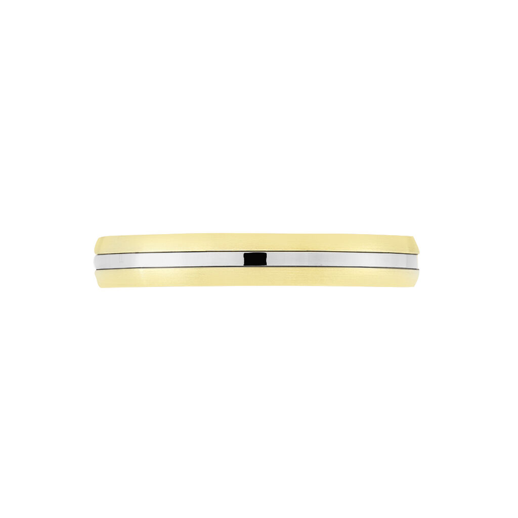 Alliance Prescilia Ruban Plat Or Bicolore - Alliances Homme | Histoire d’Or