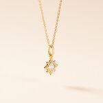 Collier Bobbie Plaqu&eacute; Or Jaune Oxyde De Zirconium - Colliers Femme | Histoire d&rsquo;Or