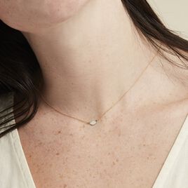 Collier Fittonia Or Jaune - Colliers Femme | Histoire d’Or