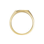 Chevali&egrave;re Plaqu&eacute; Or Jaune Hadrian - Chevali&egrave;res Homme | Histoire d&rsquo;Or