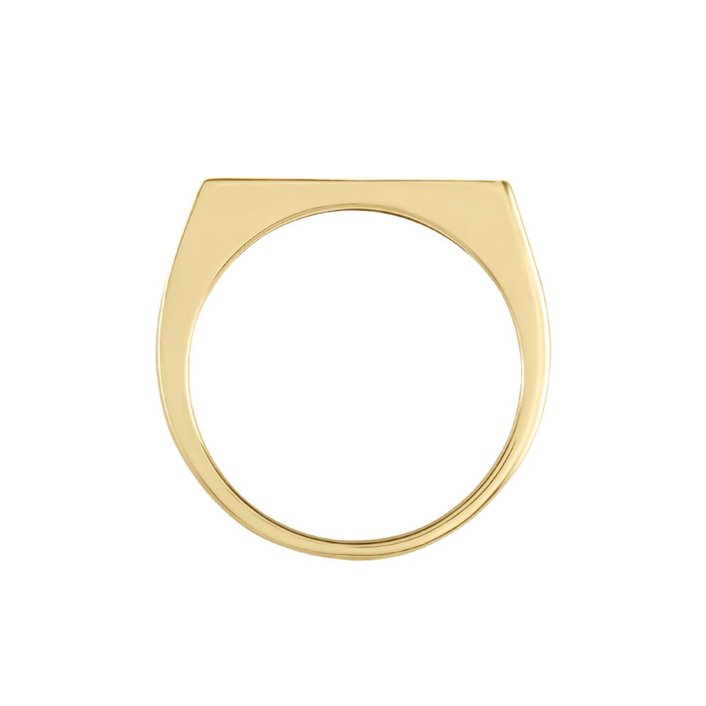 Chevali&egrave;re Tommi Plaqu&eacute; Or Jaune - Chevali&egrave;res Homme | Histoire d&rsquo;Or