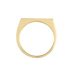 Chevali&egrave;re Tommi Plaqu&eacute; Or Jaune - Chevali&egrave;res Homme | Histoire d&rsquo;Or