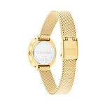 Montre Calvin Klein Twisted Bezel 24 Vert - Montres Femme | Histoire d&rsquo;Or