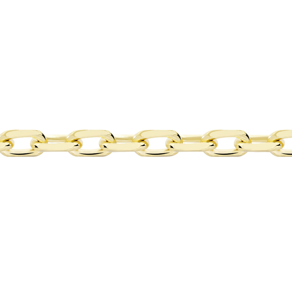 Chaîne Igoa Maille Forçat Diamantee Or Jaune