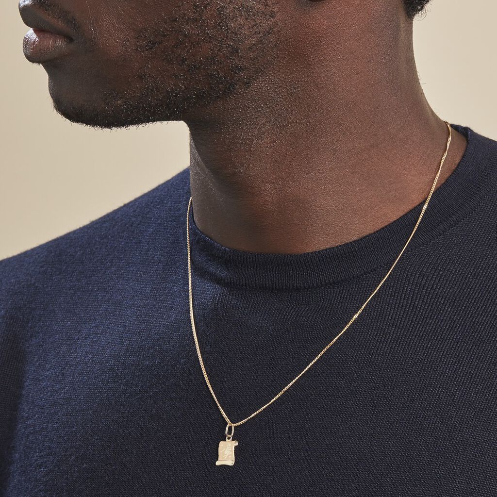 Pendentif Lamie Zodiaque Parchemin Or Jaune - Pendentifs Zodiaque Famille | Histoire d’Or