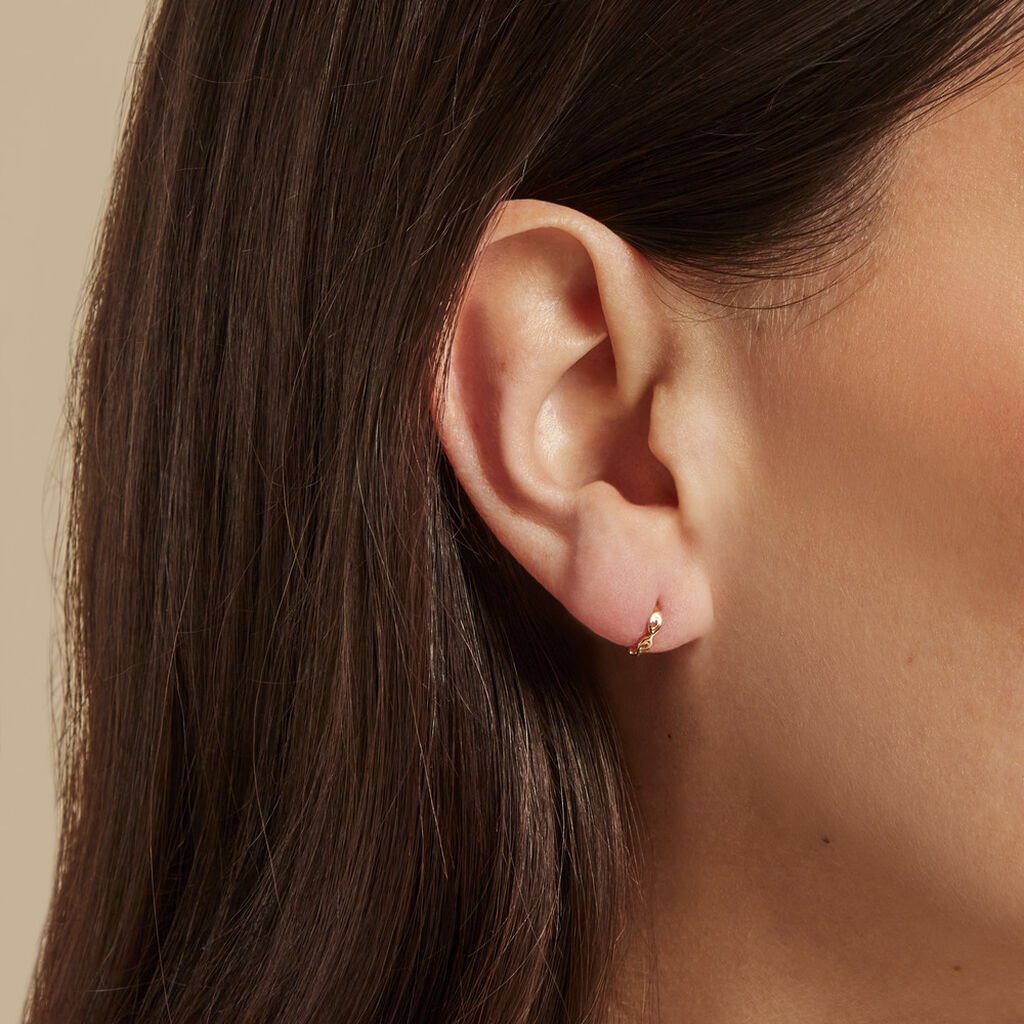 Créoles Rudi Or Jaune - Boucles d'oreilles créoles Famille | Histoire d’Or