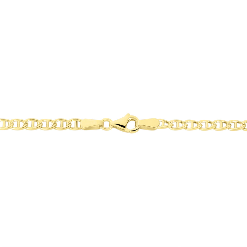 Collier Capucin Or Jaune Maille Marine Plate - Chaines Homme | Histoire d&rsquo;Or
