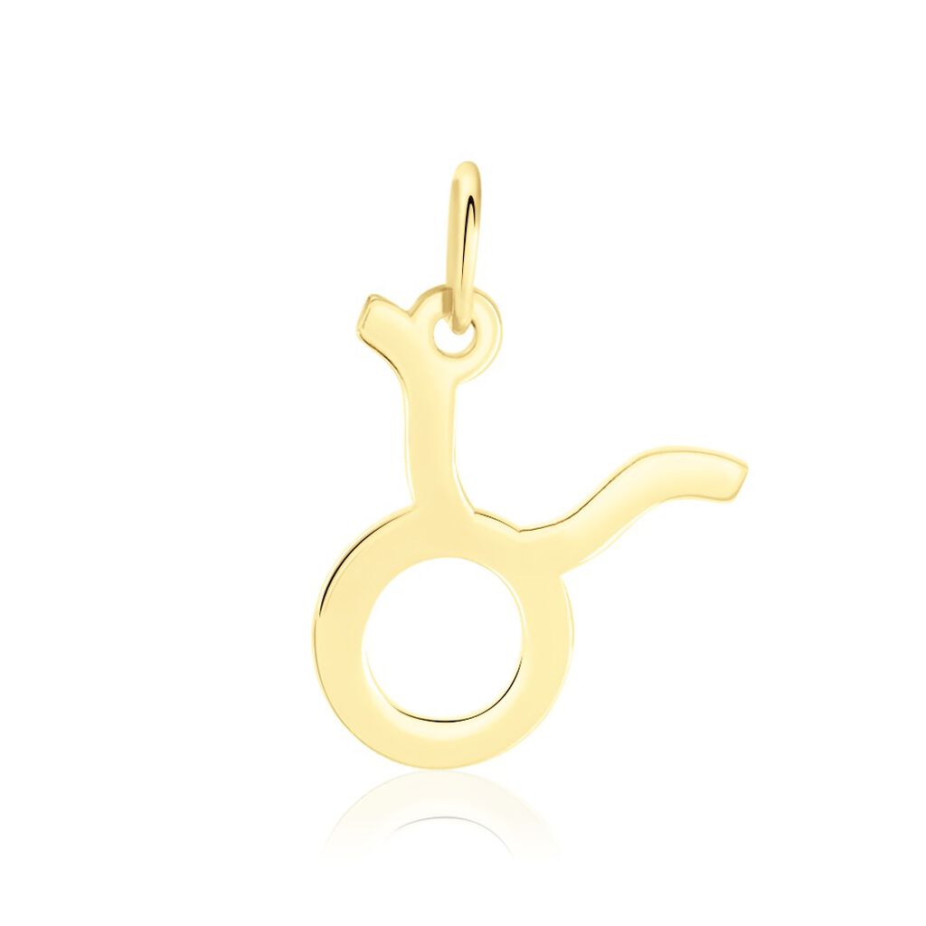 Pendentif Or Jaune Alibiza - Pendentifs Zodiaque Famille | Histoire d’Or