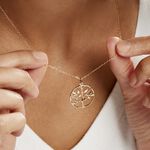 Collier Galvina Plaqu&eacute; Or Jaune - Colliers fantaisie Femme | Histoire d&rsquo;Or