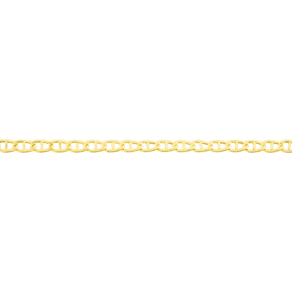 Bracelet Capucin Or Jaune Maille Marine Plate - Bracelets chaîne Femme | Histoire d’Or