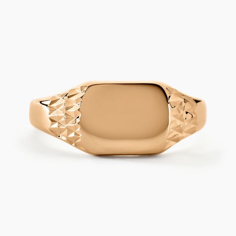 Chevali&egrave;re Leons Plaqu&eacute; Or - Chevali&egrave;res Homme | Histoire d&rsquo;Or