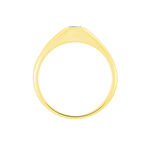 Chevaliere Maxime Or Jaune Oxyde - Bagues solitaires Famille | Histoire d&rsquo;Or