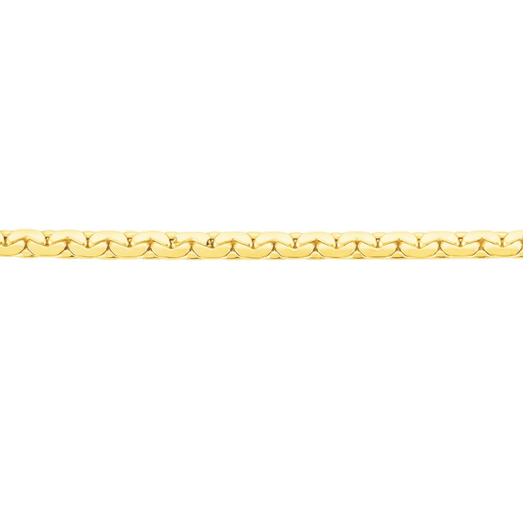 Bracelet Ivy Maille Haricot Or Jaune - Bracelets chaîne Femme | Histoire d’Or