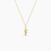 Pendentif Illide Hippocampe Or Jaune - Pendentifs Famille | Histoire d&rsquo;Or