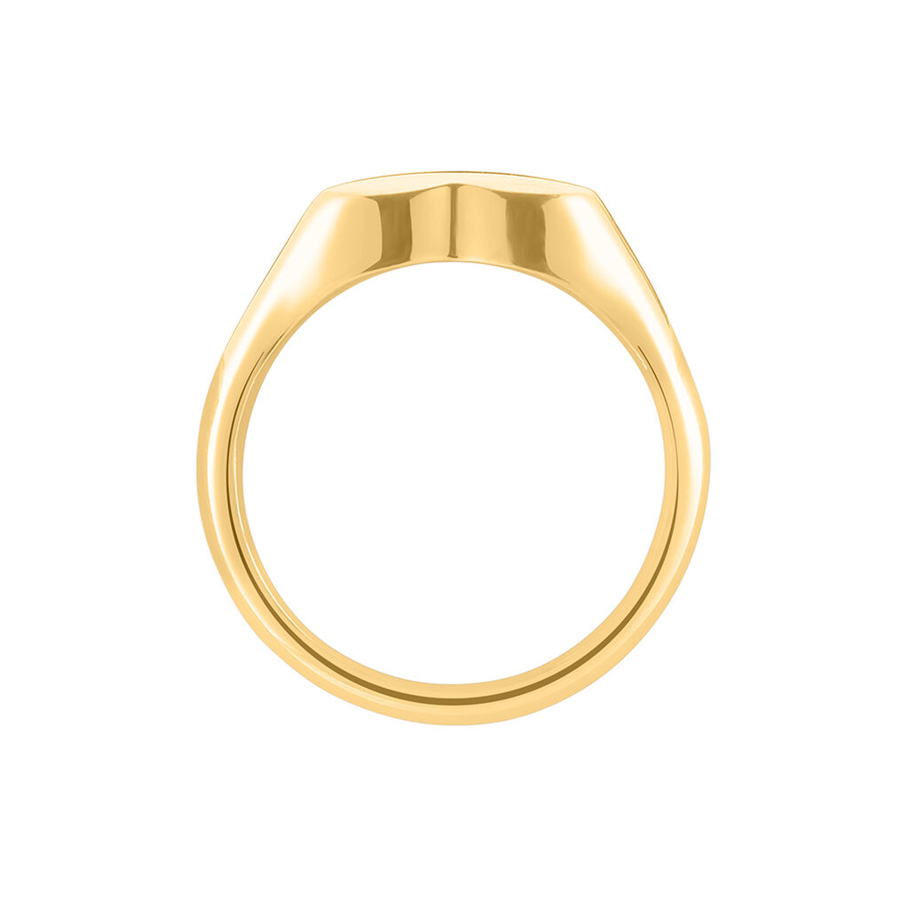 Chevali&egrave;re Philia Acier Dor&eacute; - Chevali&egrave;res Femme | Histoire d&rsquo;Or