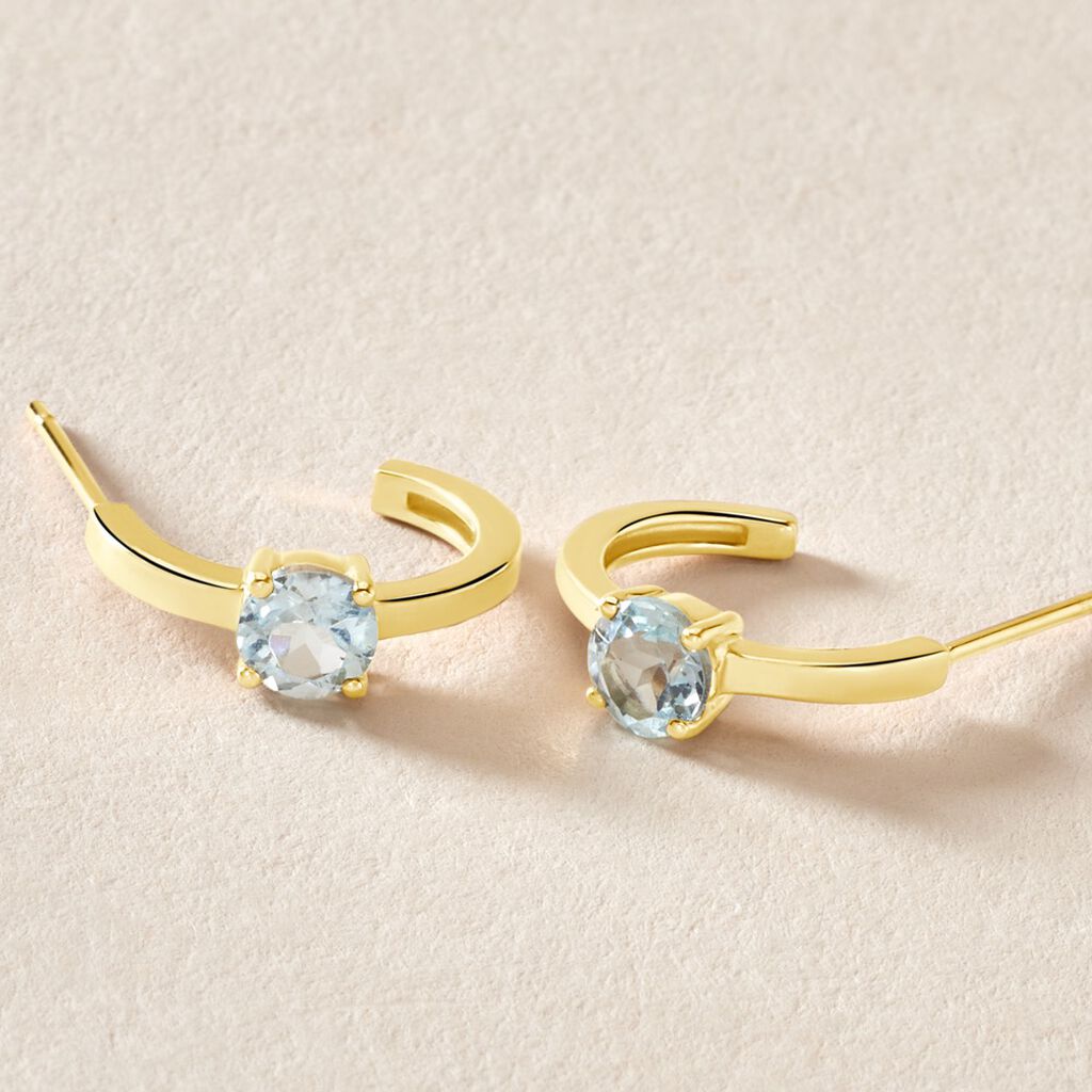 Créoles Nottingham Or Jaune Topaze - Boucles d'oreilles créoles Famille | Histoire d’Or