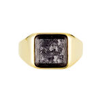 Chevali&egrave;re Blake Acier Dor&eacute; - Chevali&egrave;res Homme | Histoire d&rsquo;Or