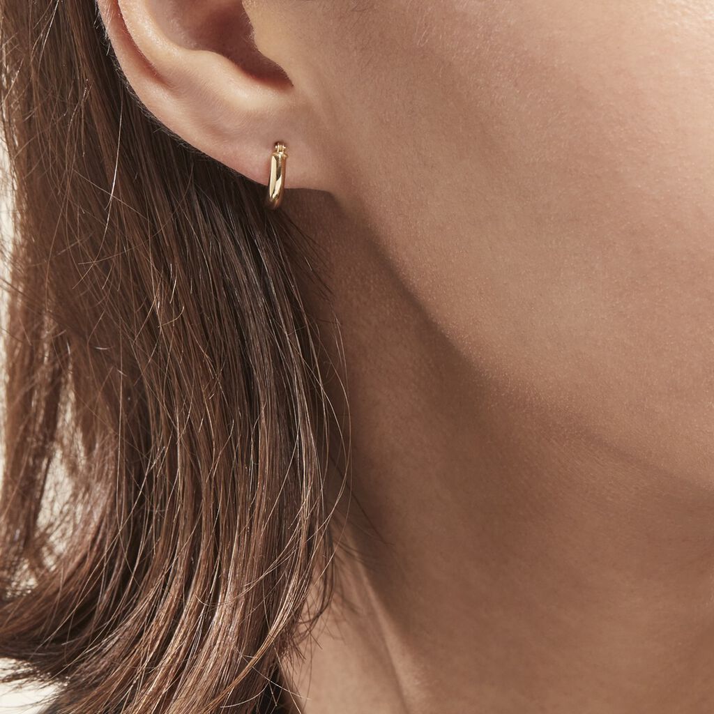 Créole Unitaire Agavie Or Jaune - Boucles d'oreilles créoles Famille | Histoire d’Or