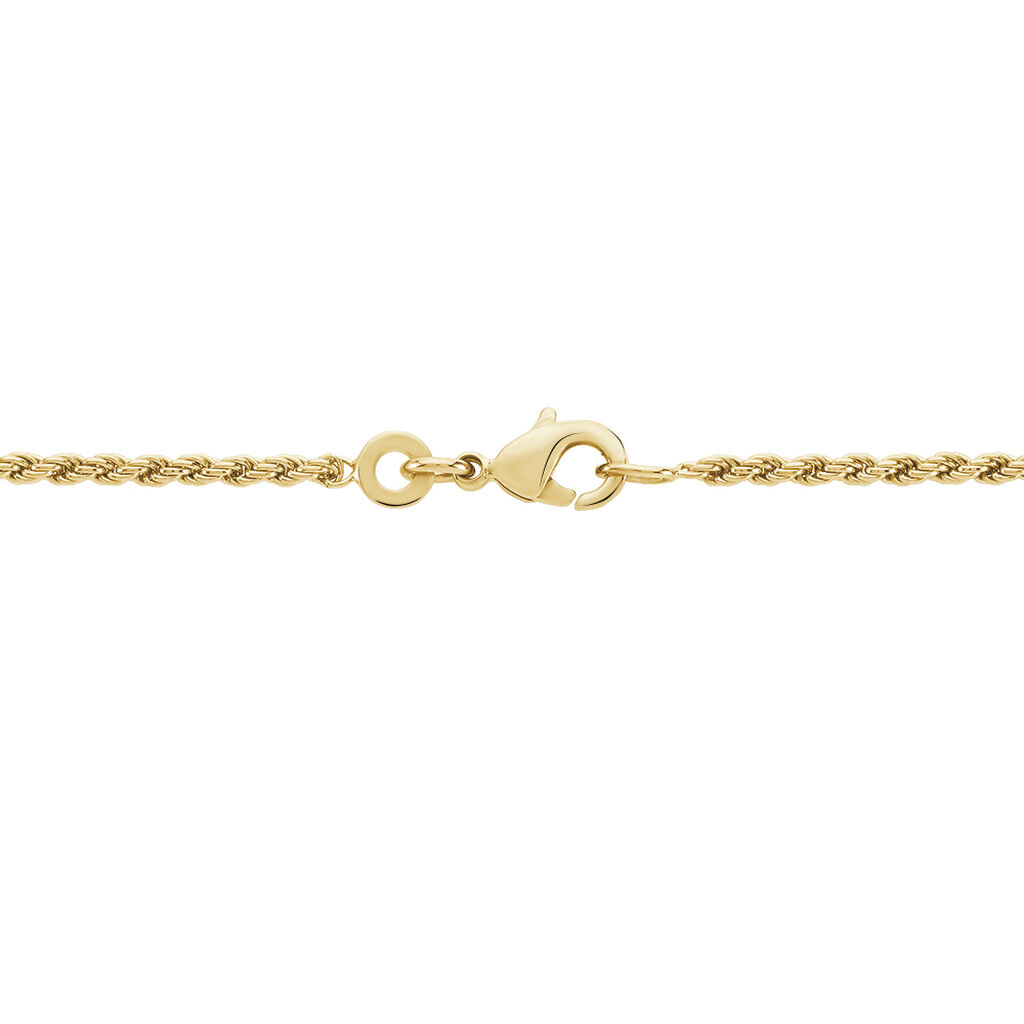 Collier Azelys Plaqué Or Jaune - Chaines Femme | Histoire d’Or