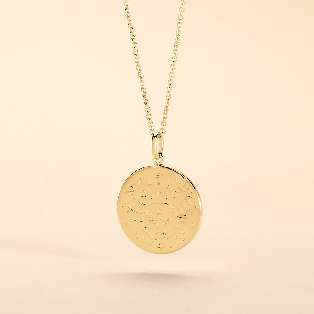 Collier Astro Plaqu&eacute; Or - Bijoux sans pierre Femme | Histoire d&rsquo;Or