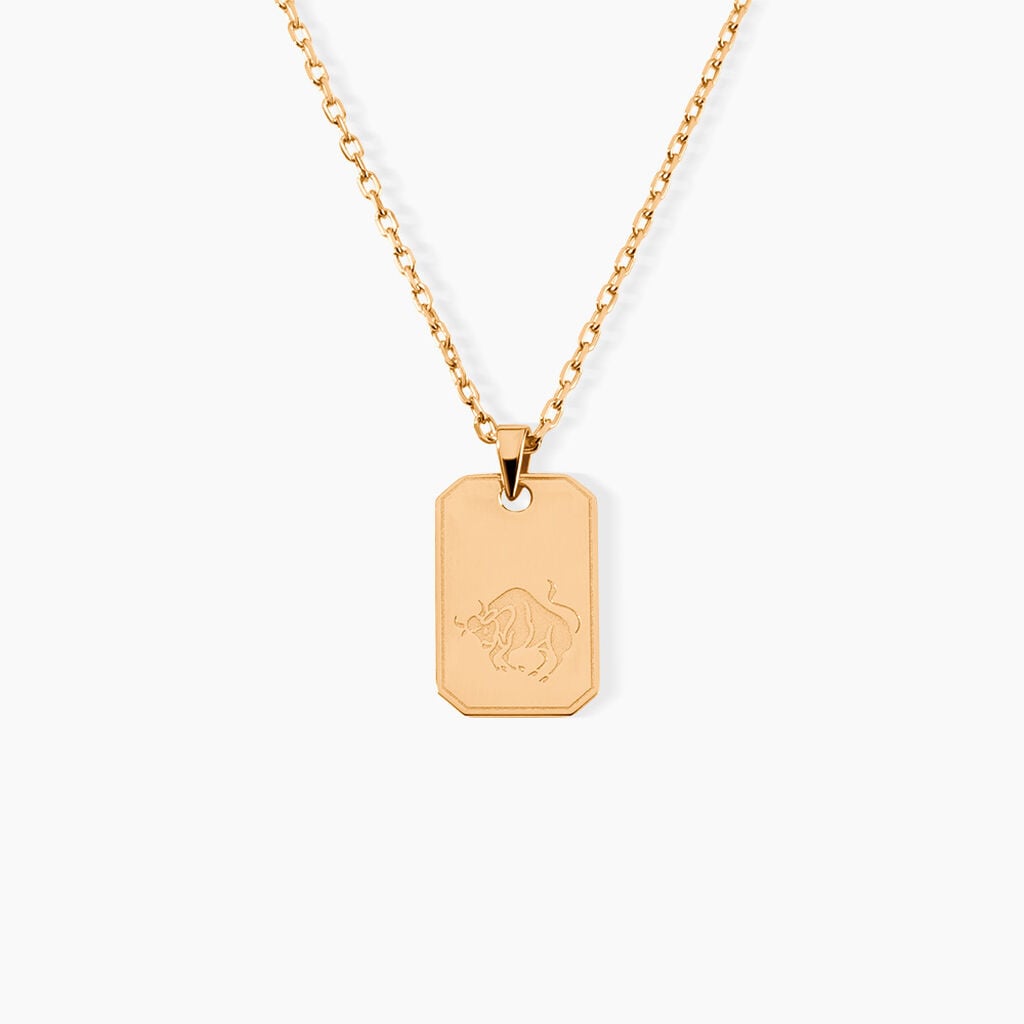 Collier Plaqu&eacute; Or Quintien - Bijoux Symboliques Homme | Histoire d&rsquo;Or