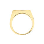 Chevali&egrave;re Chuck Or Jaune - Chevali&egrave;res Homme | Histoire d&rsquo;Or