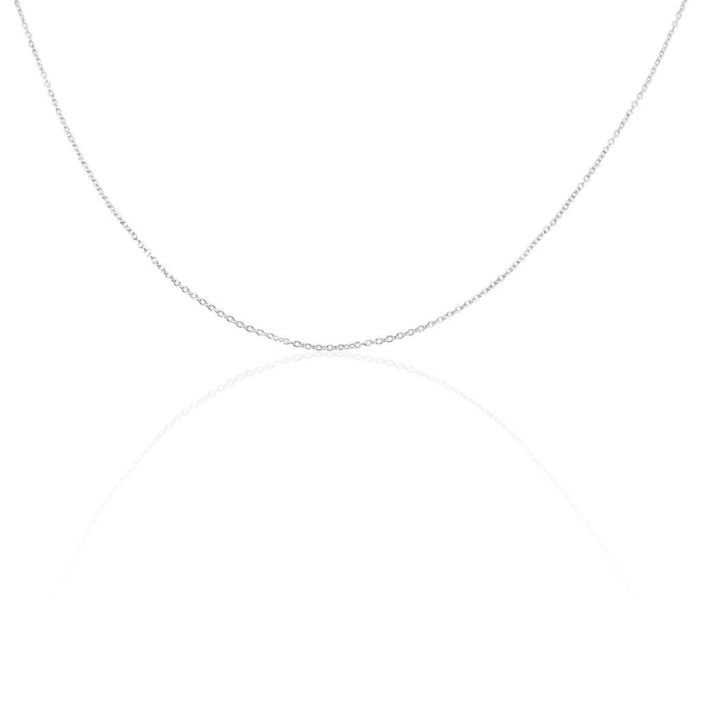 Chaîne Ilan Maille Forçat Ronde Or Blanc - Chaines Unisex | Histoire d’Or