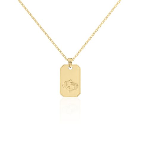 Collier Plaqu&eacute; Or Quintien - Colliers Zodiaque Homme | Histoire d&rsquo;Or