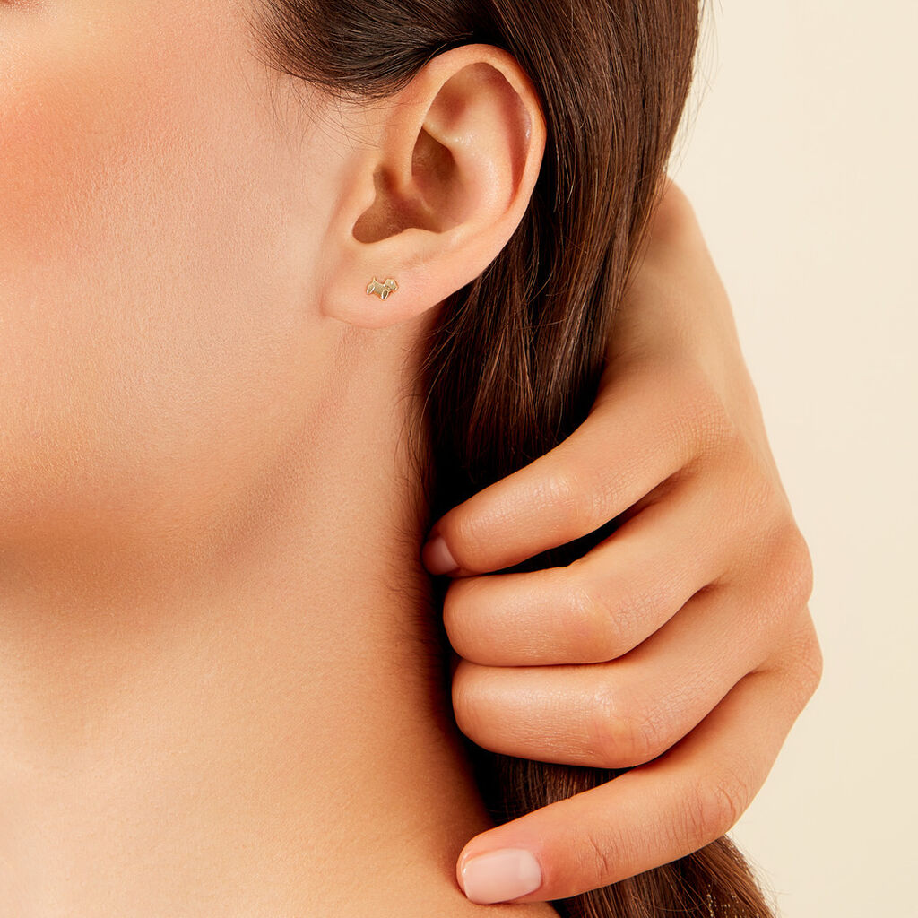 Boucles D'oreilles Puces Lassi Or Jaune - Nouveautés Famille | Histoire d’Or
