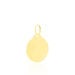 Pendentif Lamie Zodiaque Or Jaune - Pendentifs Zodiaque Unisex | Histoire d’Or