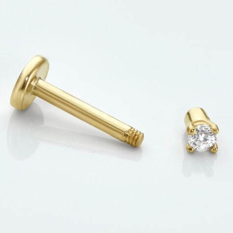Sitemapcdatahttpsshopinf Inetcompiercing Tragus Histoire D Or