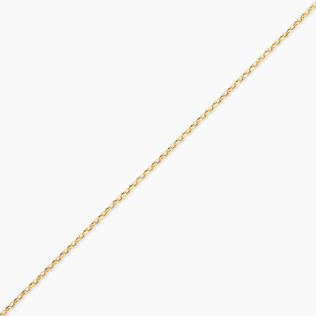 Cha&icirc;ne De Cheville Jahleel Or Jaune - Cha&icirc;nes de cheville Femme | Histoire d&rsquo;Or