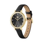 Montre Lacoste Riga Noir - Montres Femme | Histoire d&rsquo;Or