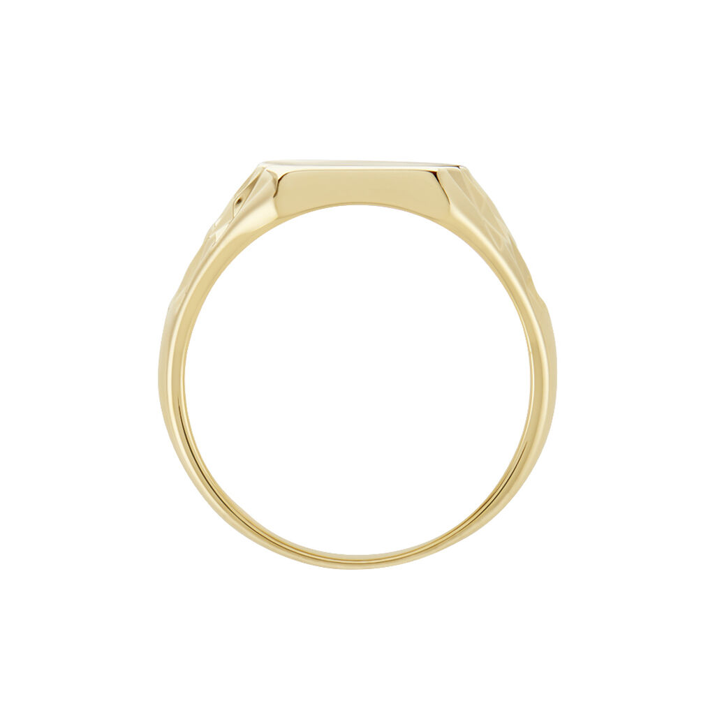 Chevali&egrave;re Leons Plaqu&eacute; Or - Chevali&egrave;res Homme | Histoire d&rsquo;Or