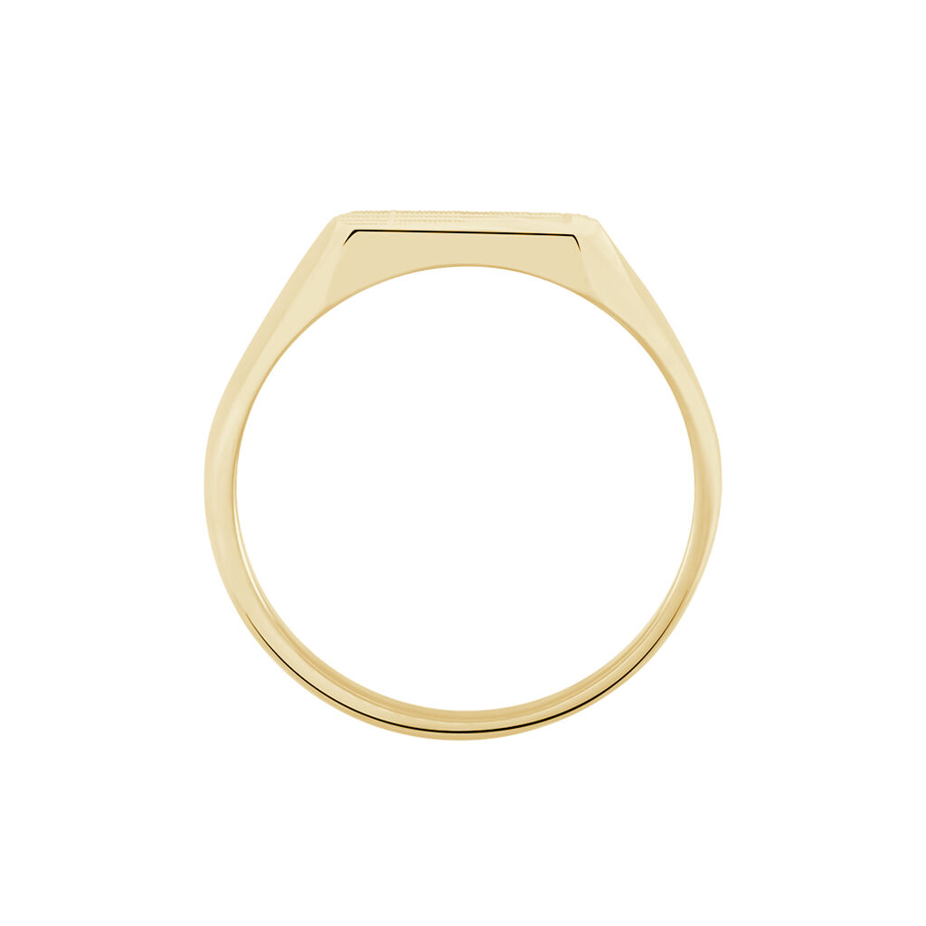 Chevali&egrave;re Rafael Plaqu&eacute; Or Jaune - Chevali&egrave;res Homme | Histoire d&rsquo;Or