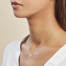 Pendentif Lamie Zodiaque Or Jaune - Pendentifs Zodiaque Famille | Histoire d’Or