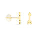 Boucles D'oreilles Puces Or Jaune Gnazi - Clous d'oreilles Femme | Histoire d’Or