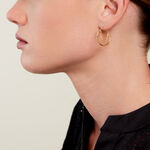 Cr&eacute;oles Omnia Plaqu&eacute; Or Dor&eacute; - Boucles d'oreilles cr&eacute;oles Femme | Histoire d&rsquo;Or