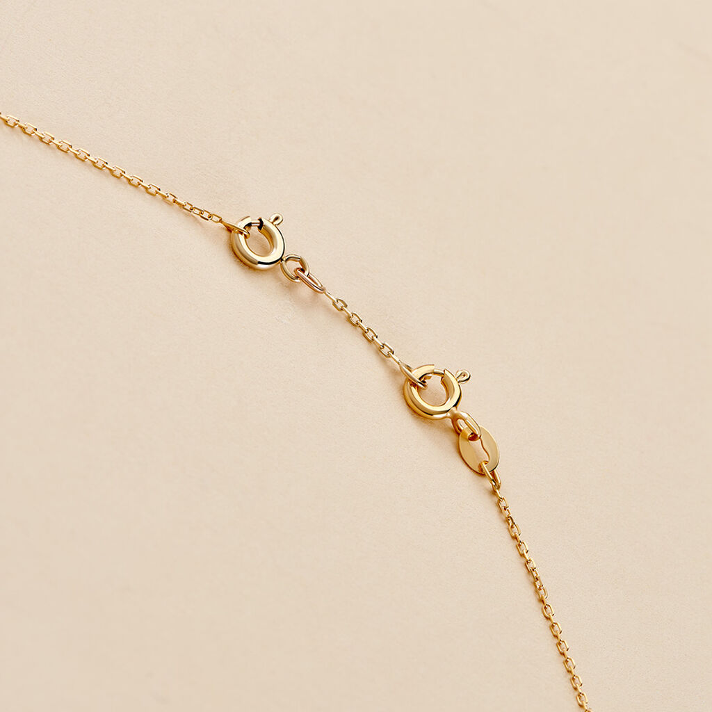 Chainette De Rallonge  Or Jaune - Collection classique Famille | Histoire d&rsquo;Or