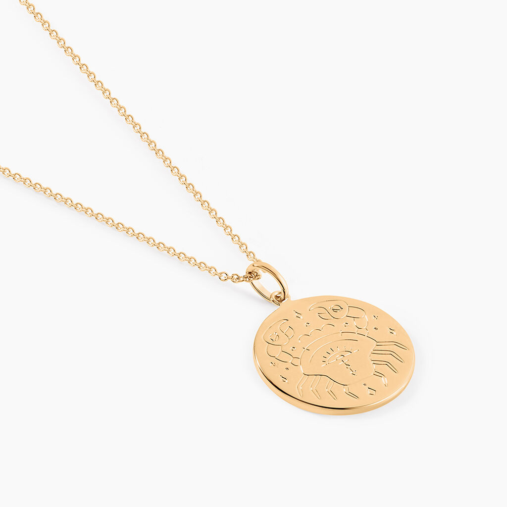 Collier Astro Plaqué Or - Colliers Zodiaque Femme | Histoire d’Or
