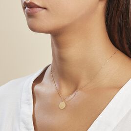 Pendentif Lamie Zodiaque Or Jaune - Pendentifs Zodiaque Famille | Histoire d’Or
